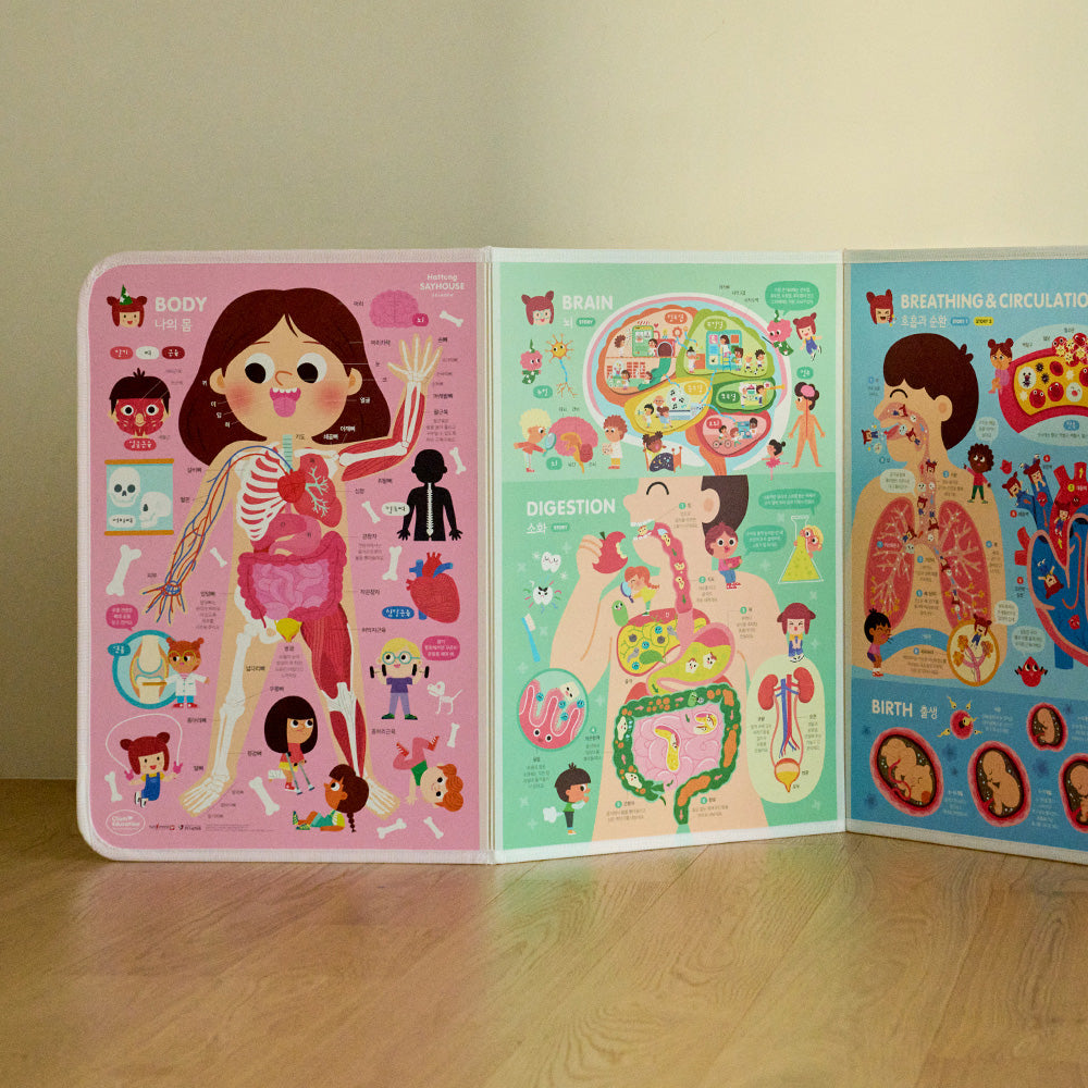 [Archive] JUBI - Hattung Say House Science Educational Posters (Korean Version)