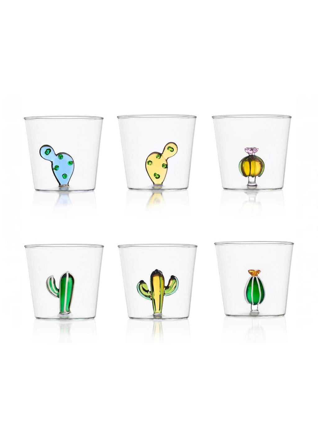 [Archive] Desert Plants Tumbler (Set of 6)