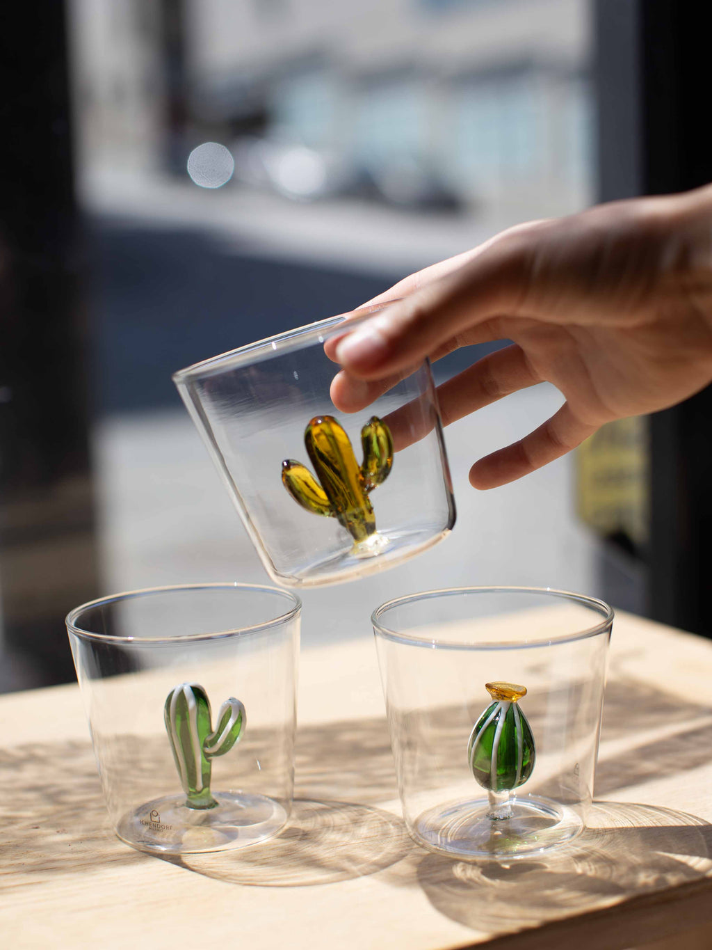 [Archive] Desert Plants Tumbler (Set of 6)