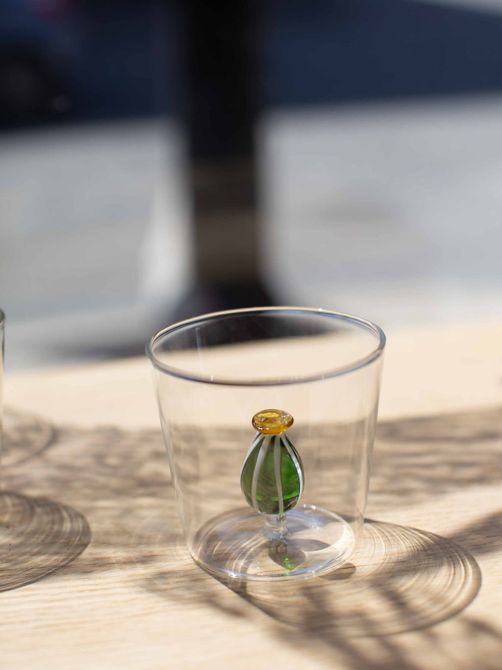 [Archive] Desert Plants Tumbler (Set of 6)