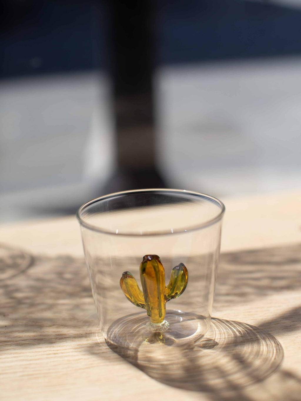 [Archive] Desert Plants Tumbler (Set of 6)