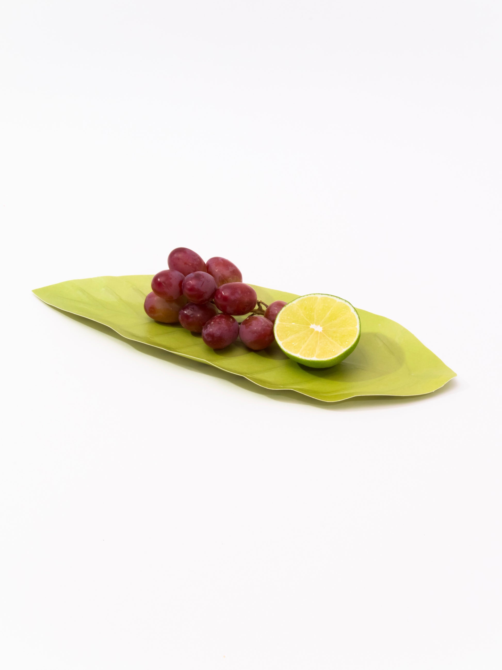 [Archive] Flexible Hanji Paper Tray - Leaf (3 Colors)