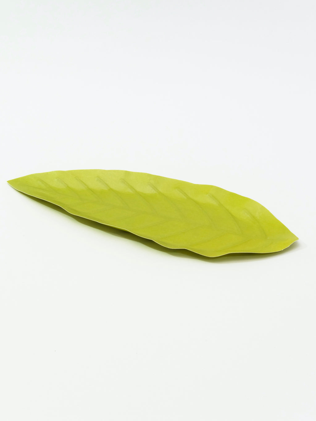 [Archive] Flexible Hanji Paper Tray - Leaf (3 Colors)