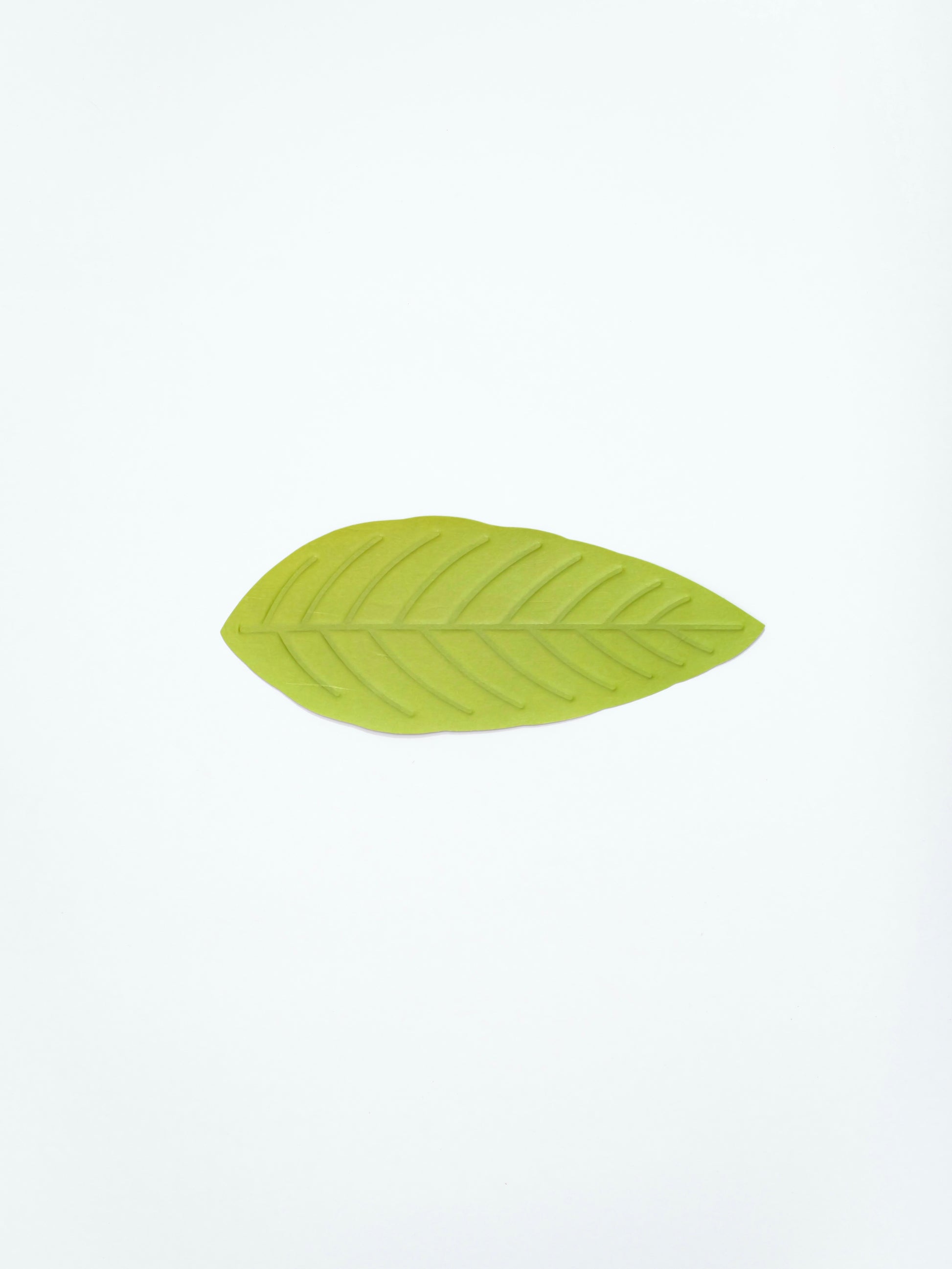 [Archive] Flexible Hanji Paper Tray - Leaf (3 Colors)