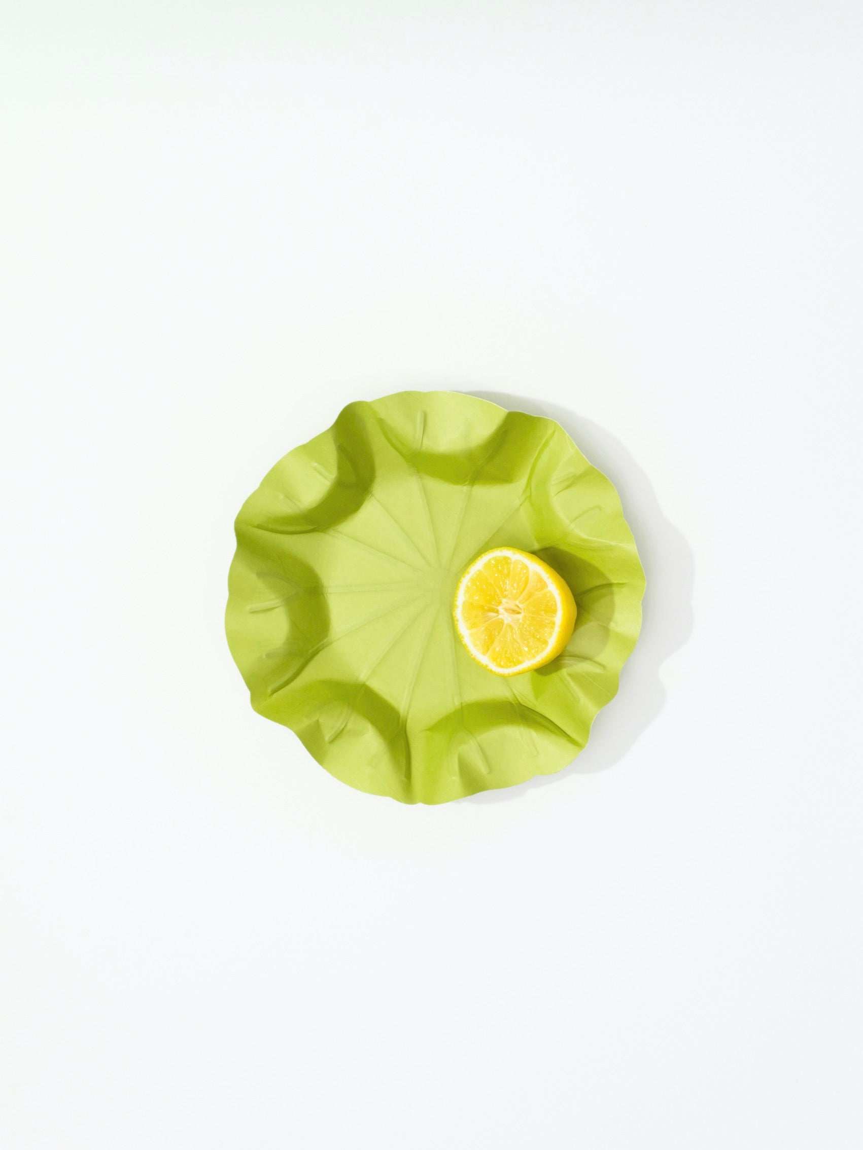 [Archive] Flexible Hanji Paper Tray - Lotus Leaf (3 Colors)