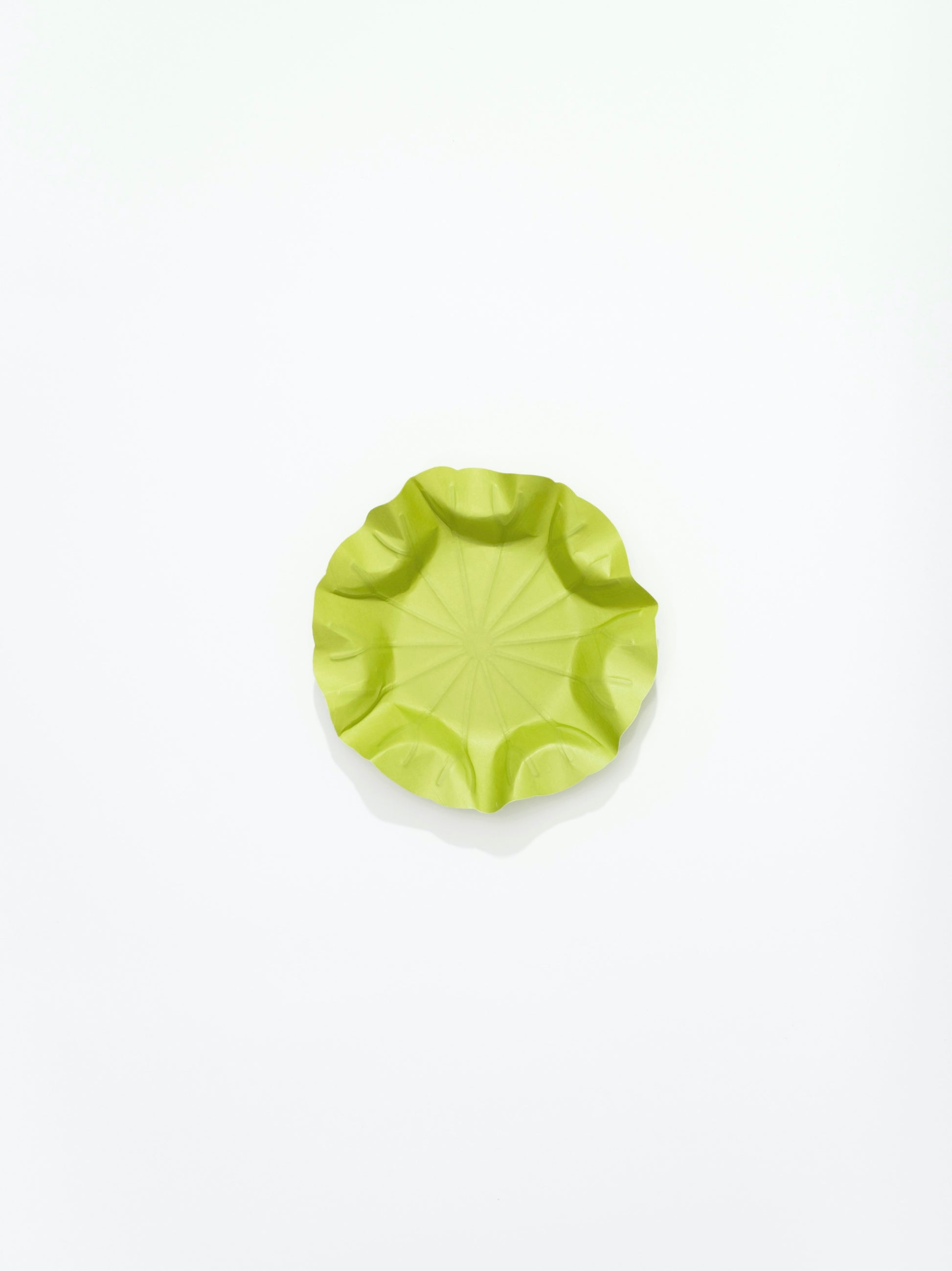 [Archive] Flexible Hanji Paper Tray - Lotus Leaf (3 Colors)