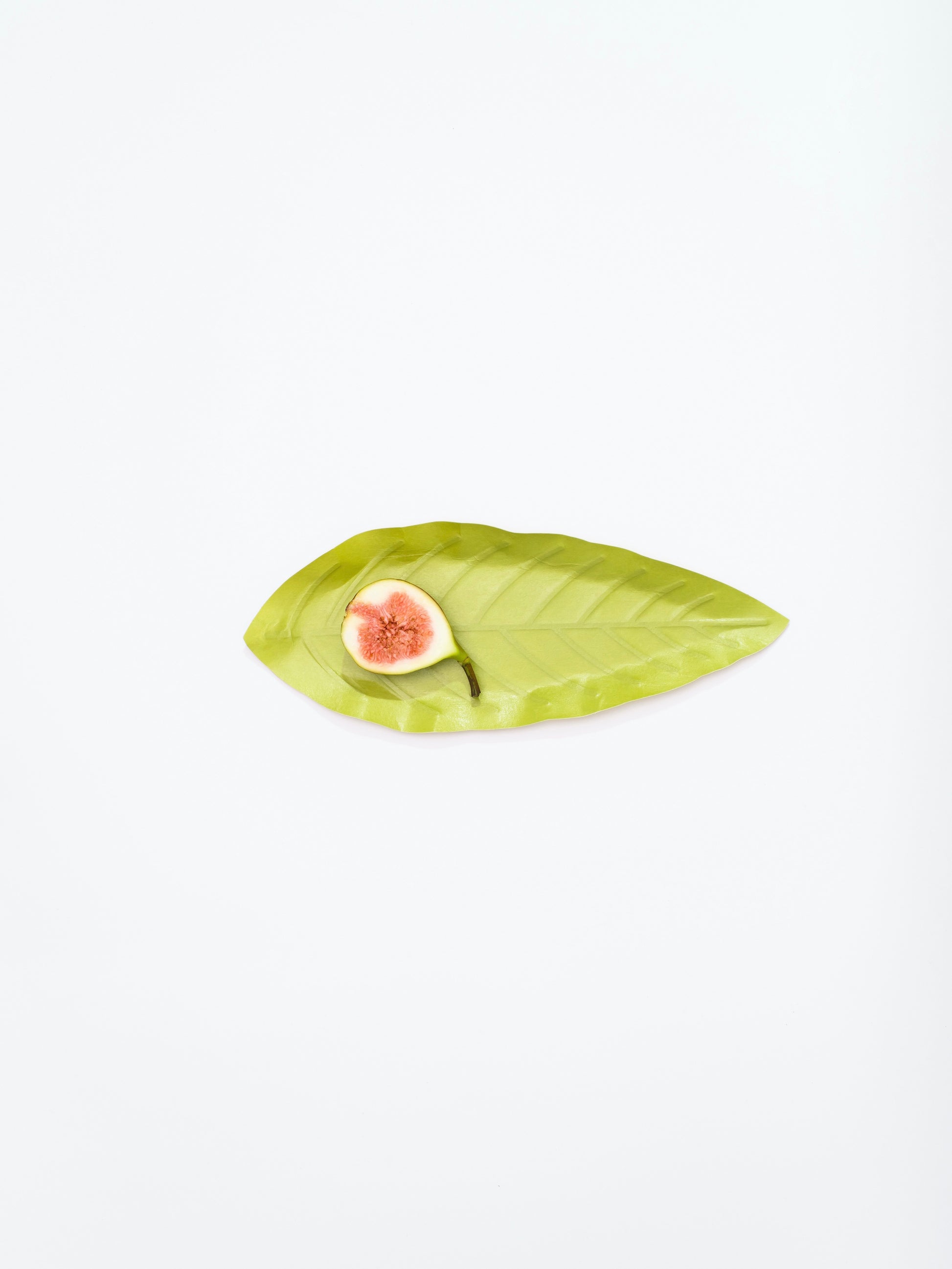 [Archive] Flexible Hanji Paper Tray - Leaf (3 Colors)