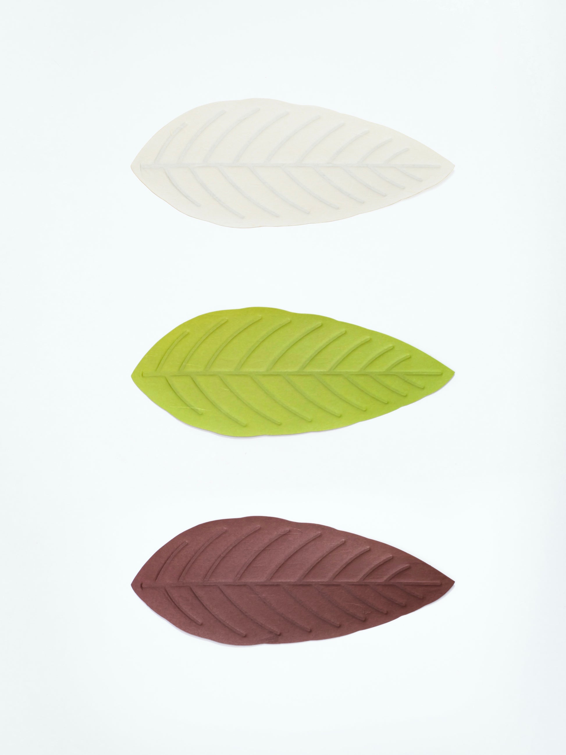 [Archive] Flexible Hanji Paper Tray - Leaf (3 Colors)