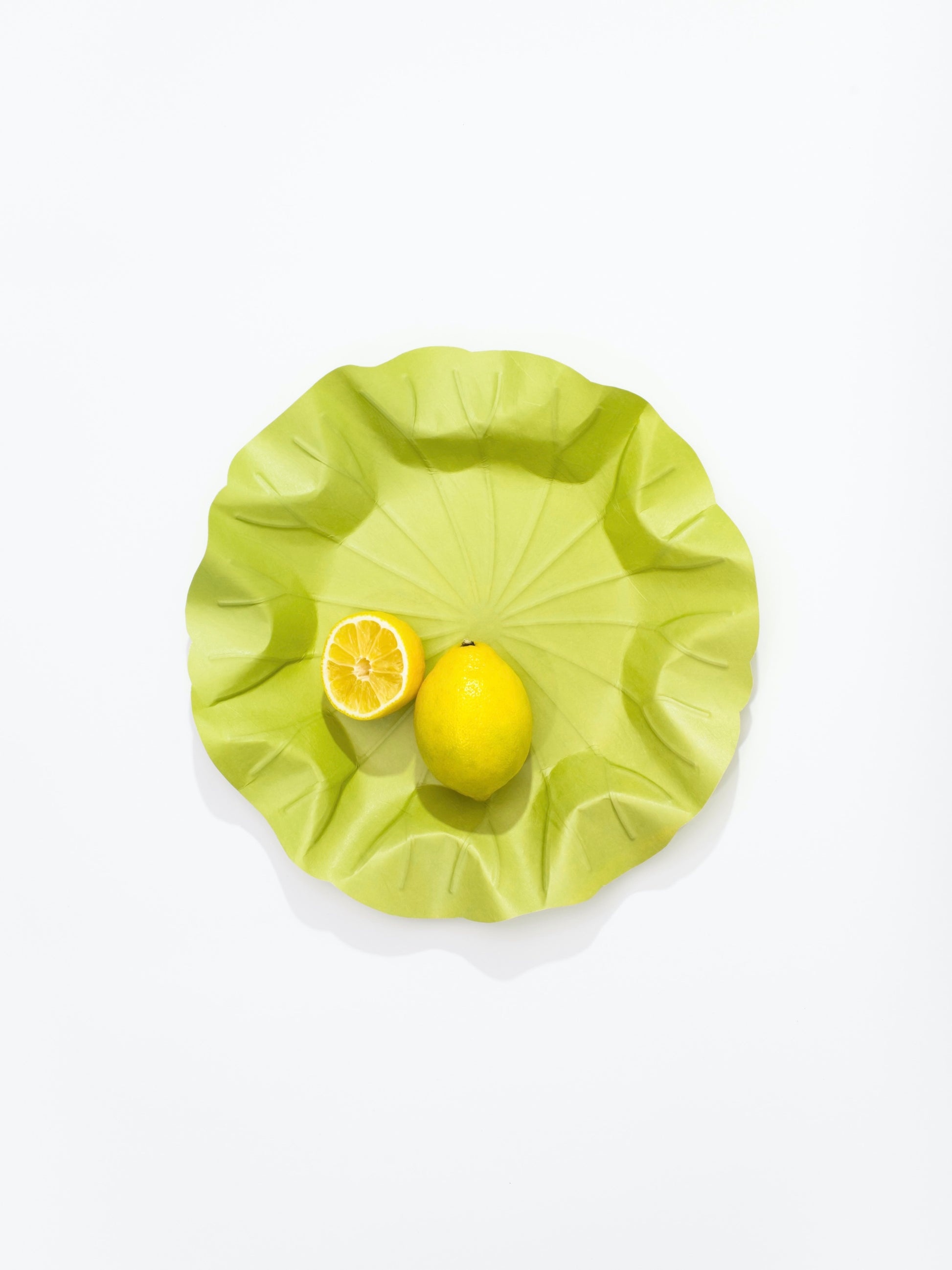 [Archive] Flexible Hanji Paper Tray - Lotus Leaf (3 Colors)