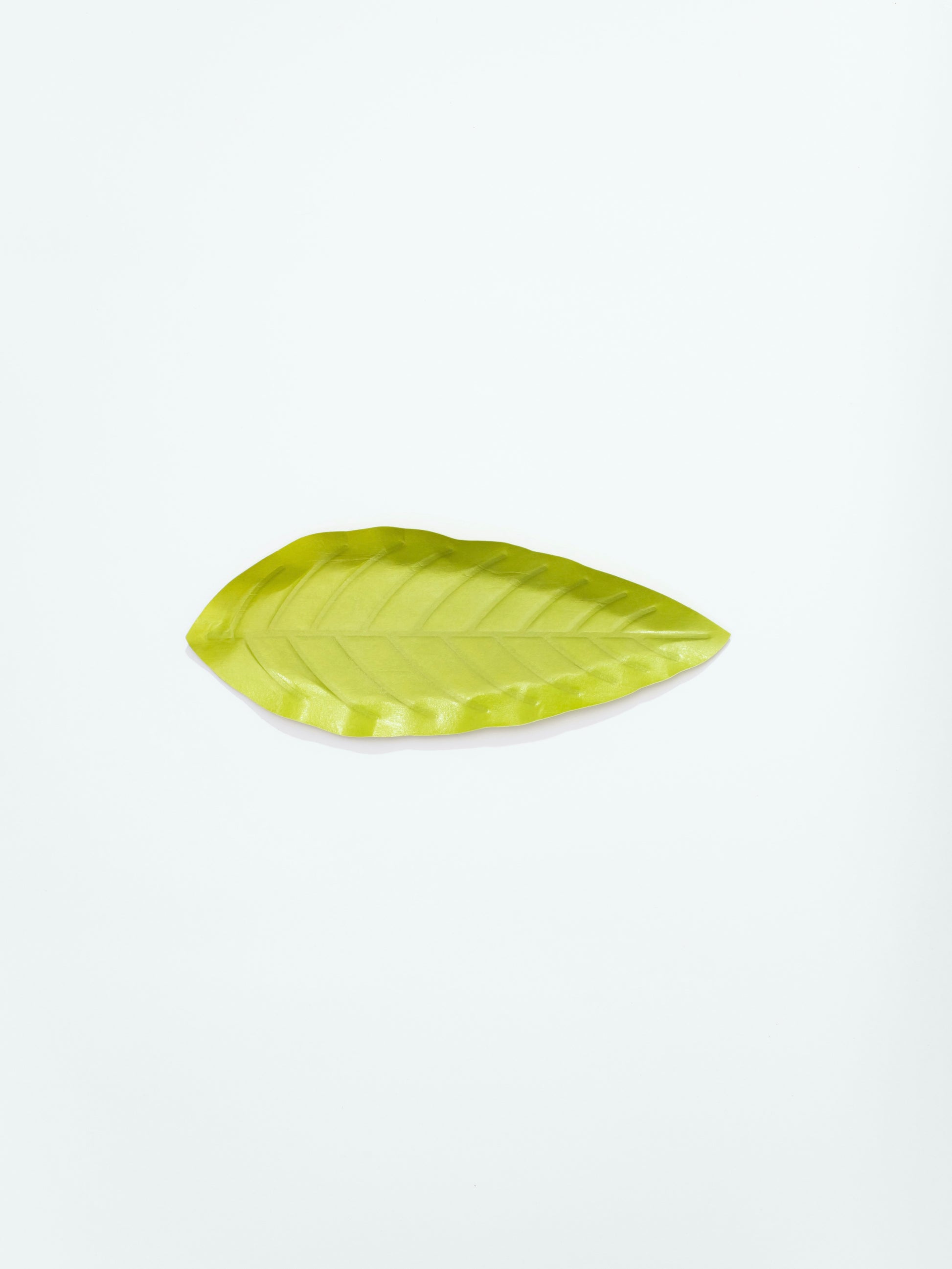 [Archive] Flexible Hanji Paper Tray - Leaf (3 Colors)