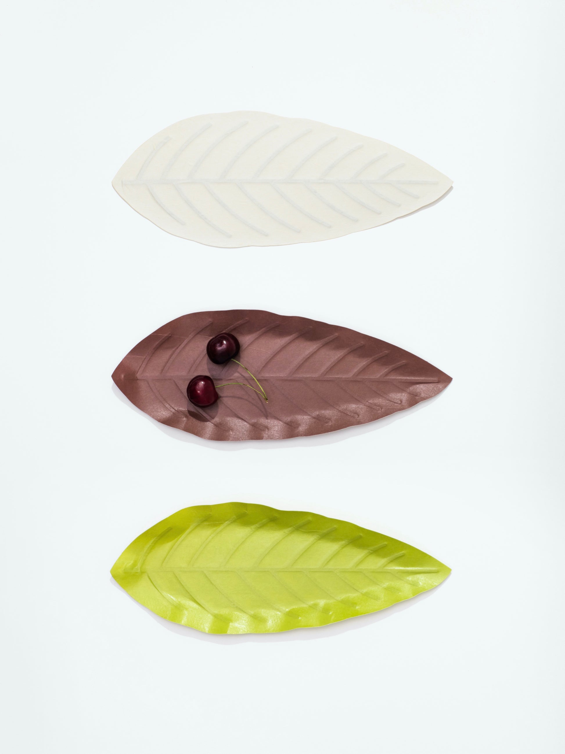 [Archive] Flexible Hanji Paper Tray - Leaf (3 Colors)