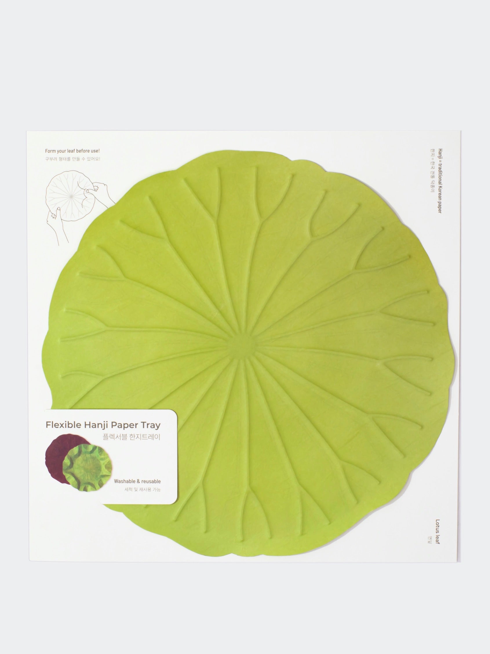 [Archive] Flexible Hanji Paper Tray - Lotus Leaf (3 Colors)