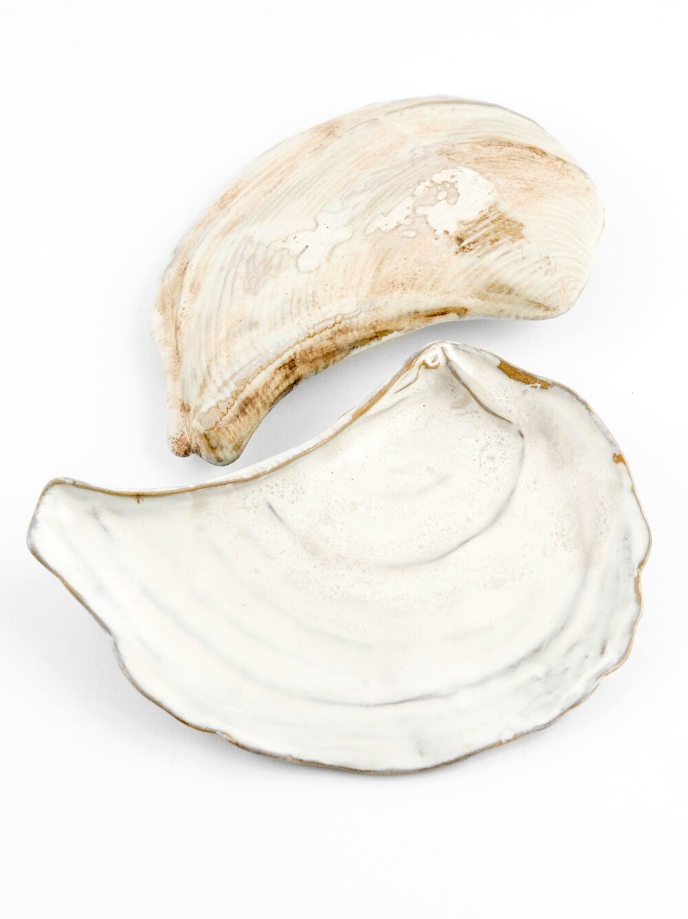 [Archive] Oceanology Abalone Plate