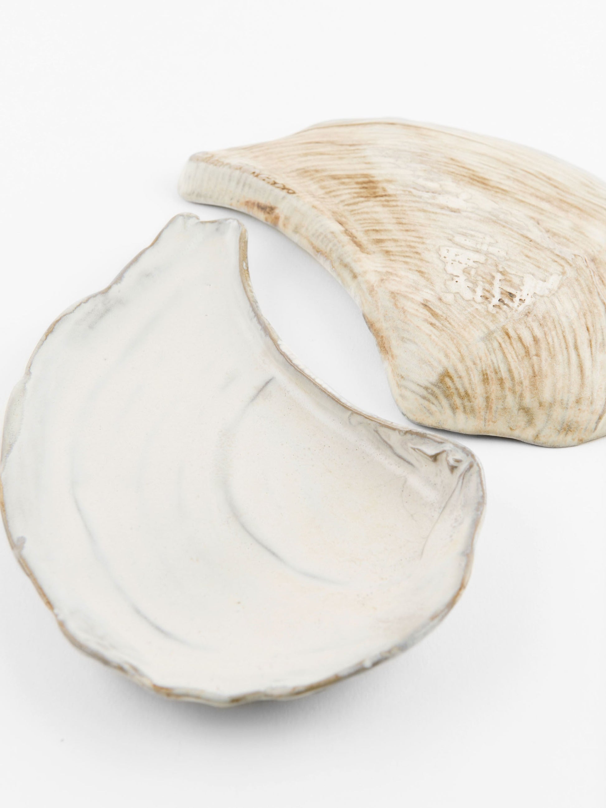 [Archive] Oceanology Abalone Plate