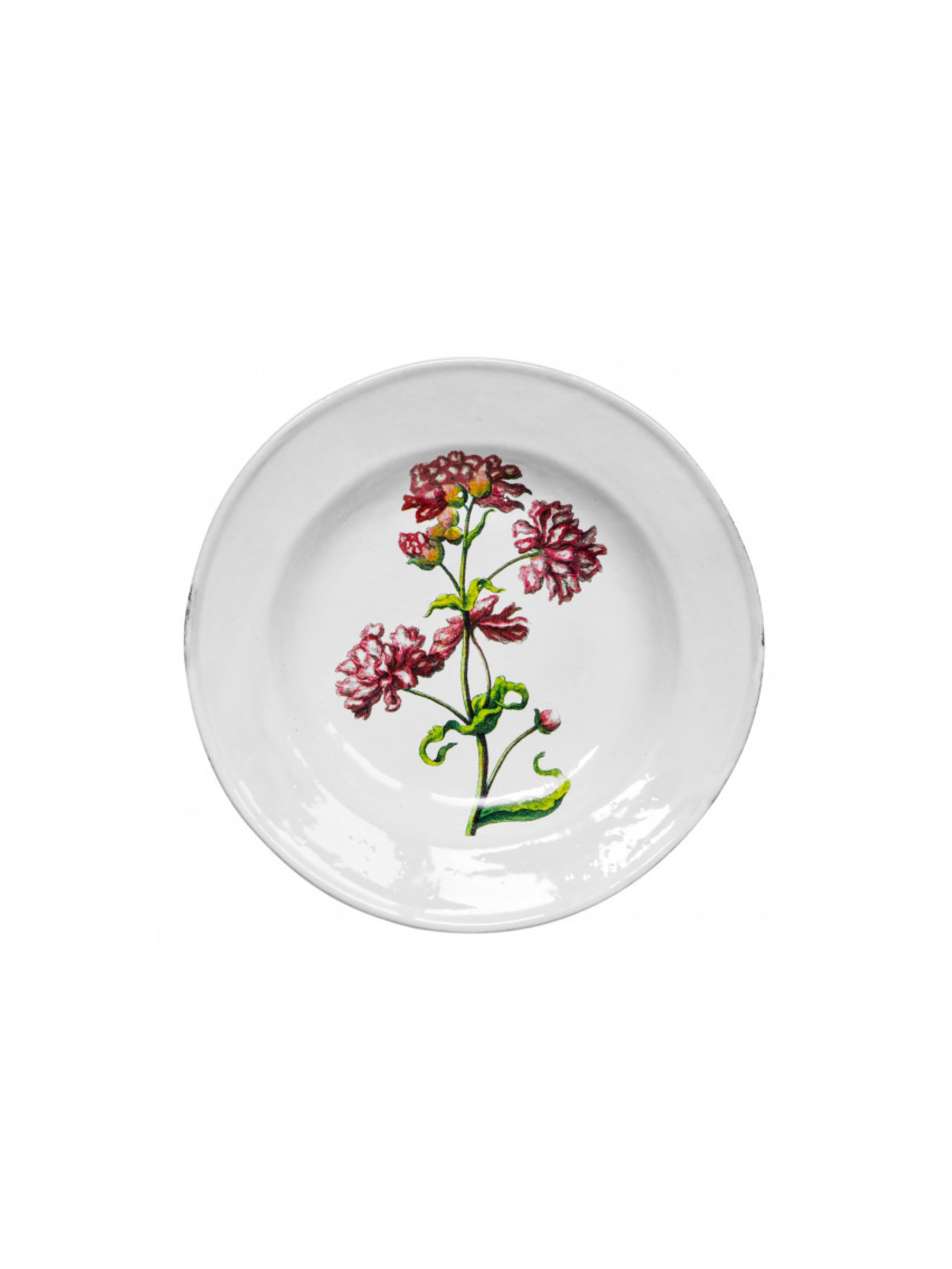 [Archive] Double Catch Fly Soup Plate