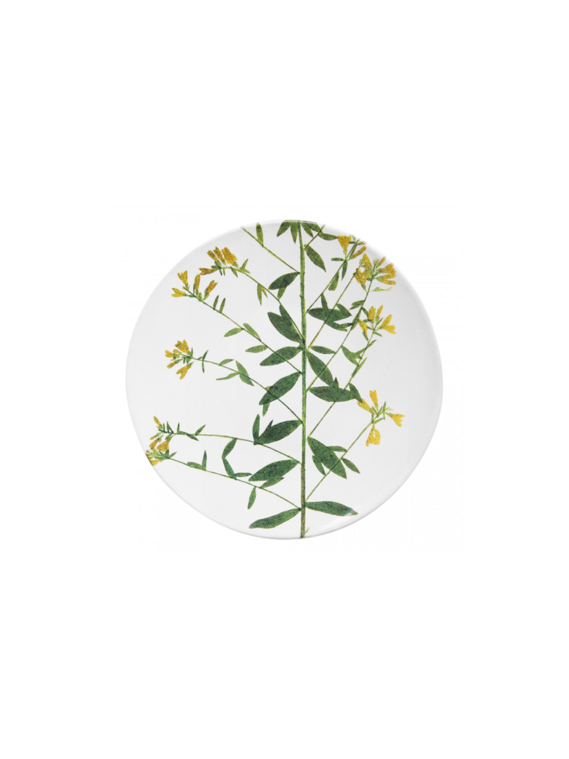 [Archive] Leaf Genista Plate