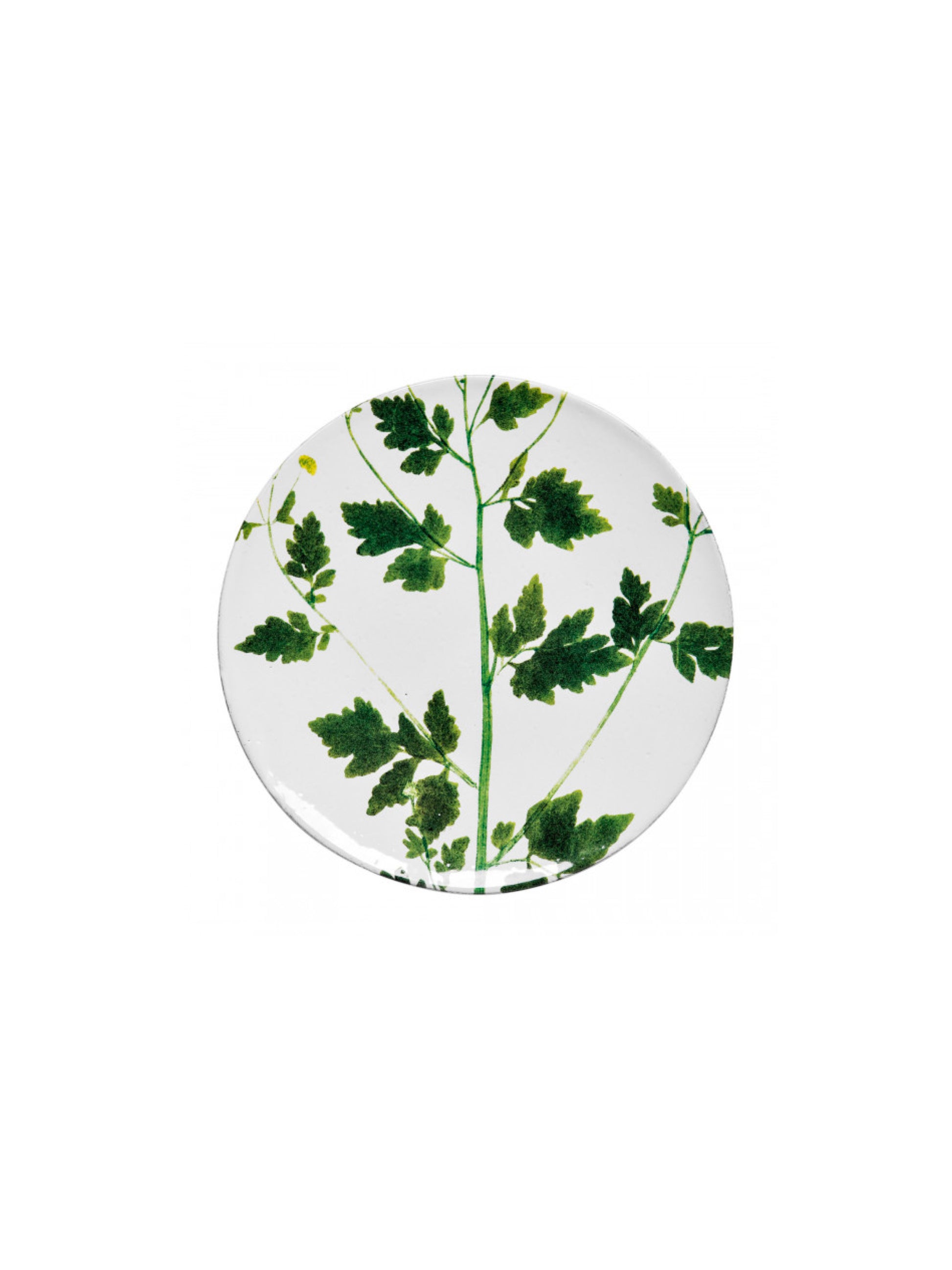 [Archive] Leaf Matricaria Plate