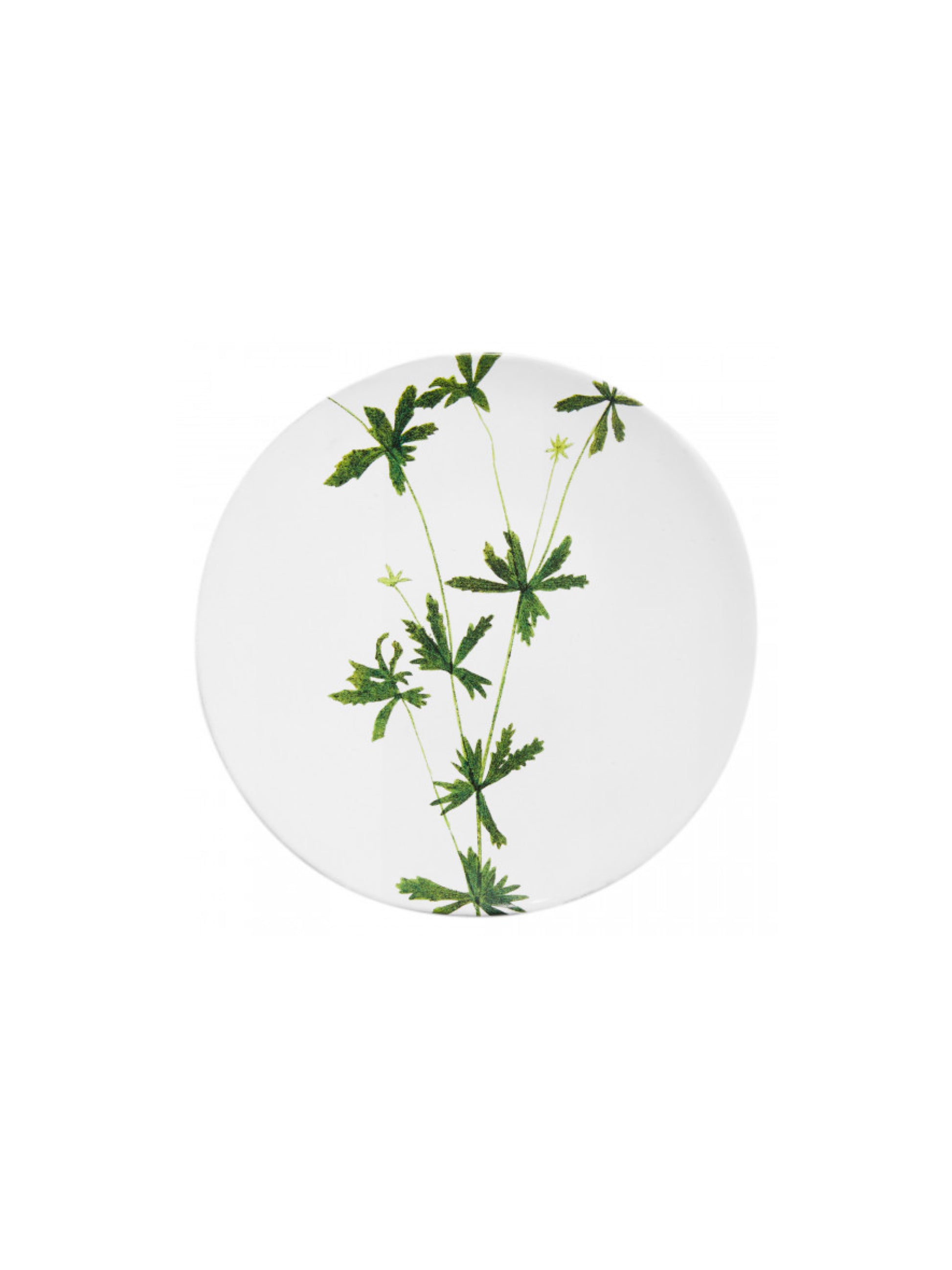 [Archive] Leaf Tormentilla Plate