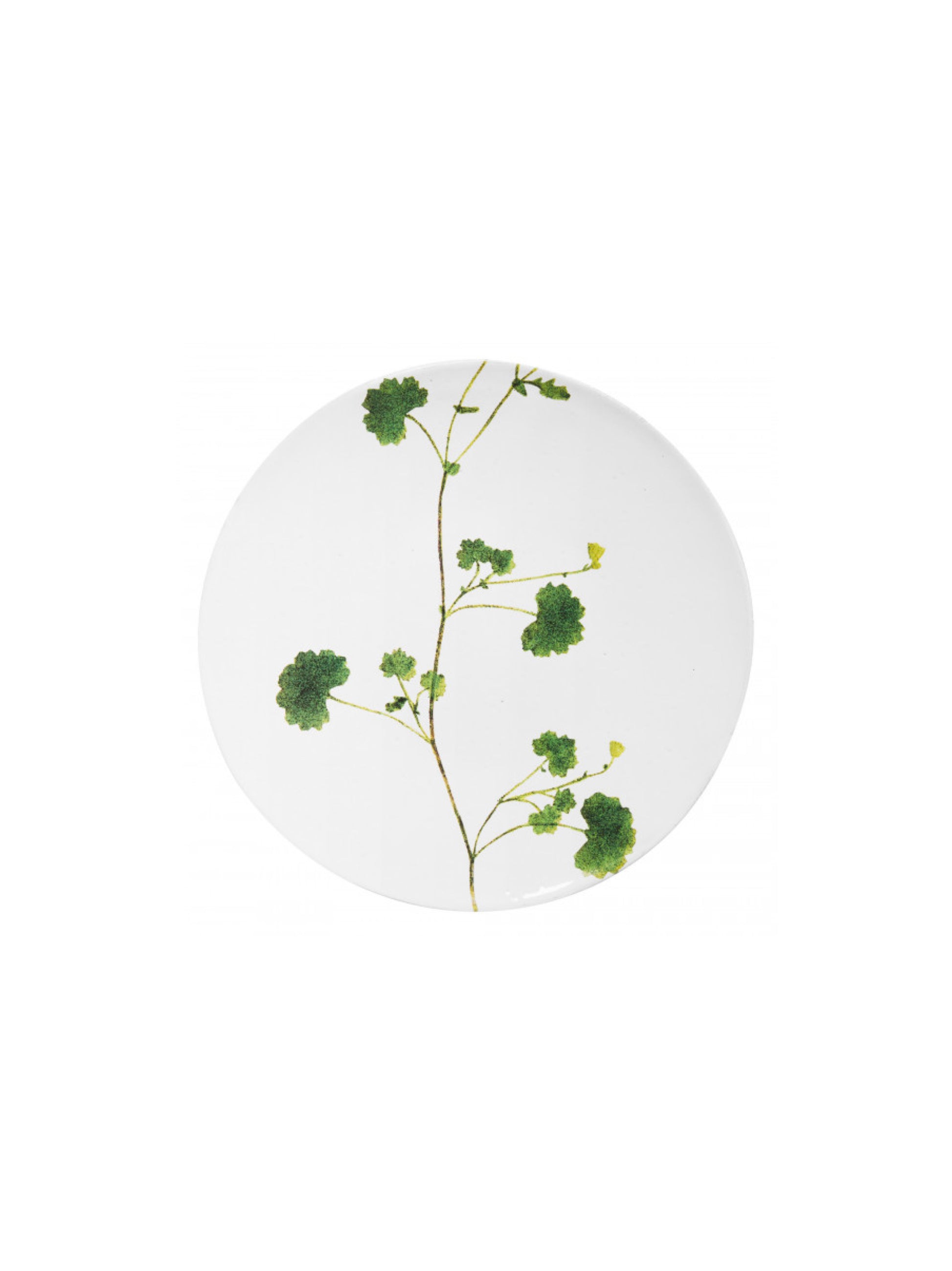[Archive] Leaf Othona Plate