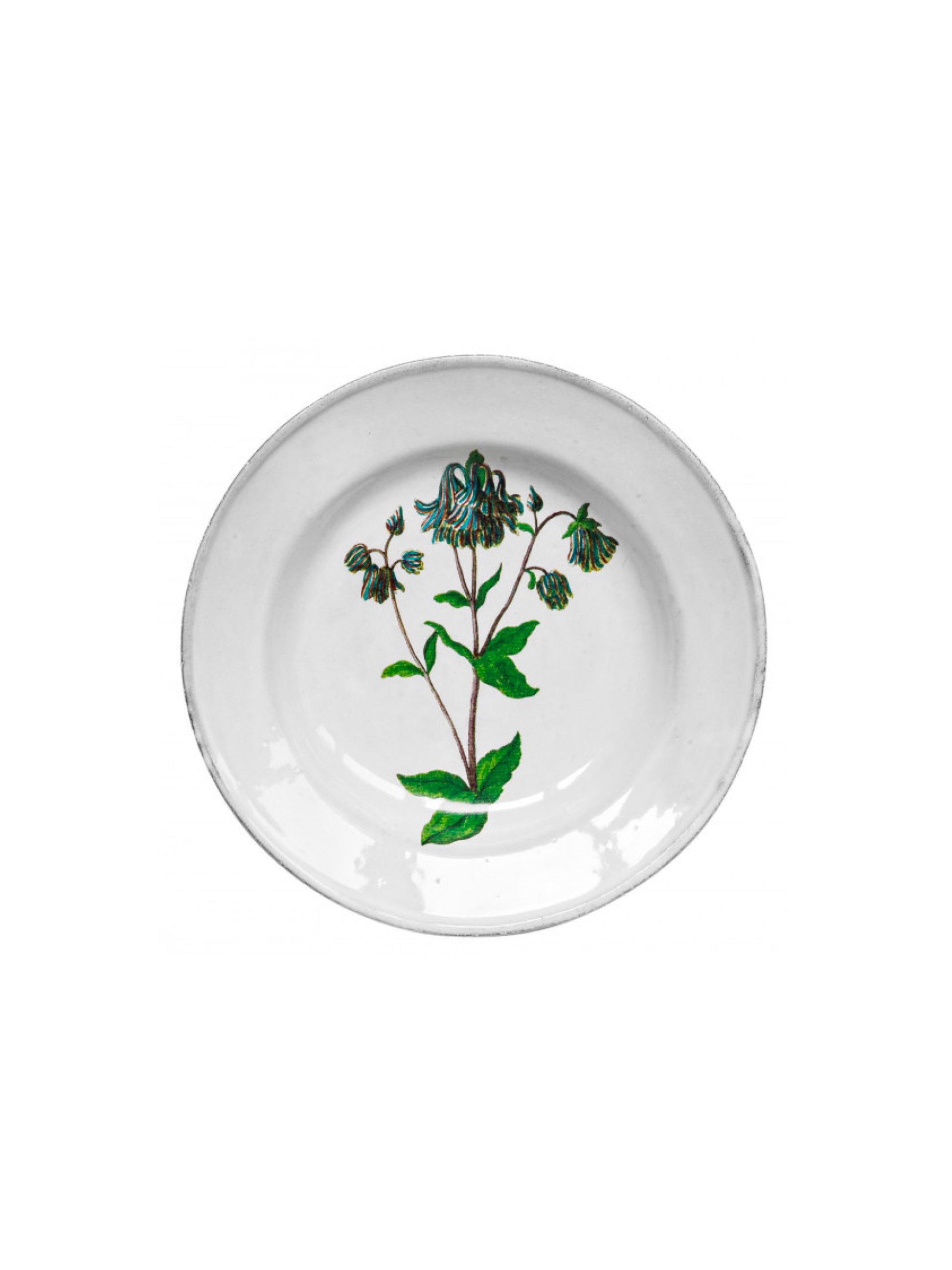 [Archive] Columbine Soup Plate