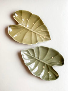 Alocasia Leaf Plate