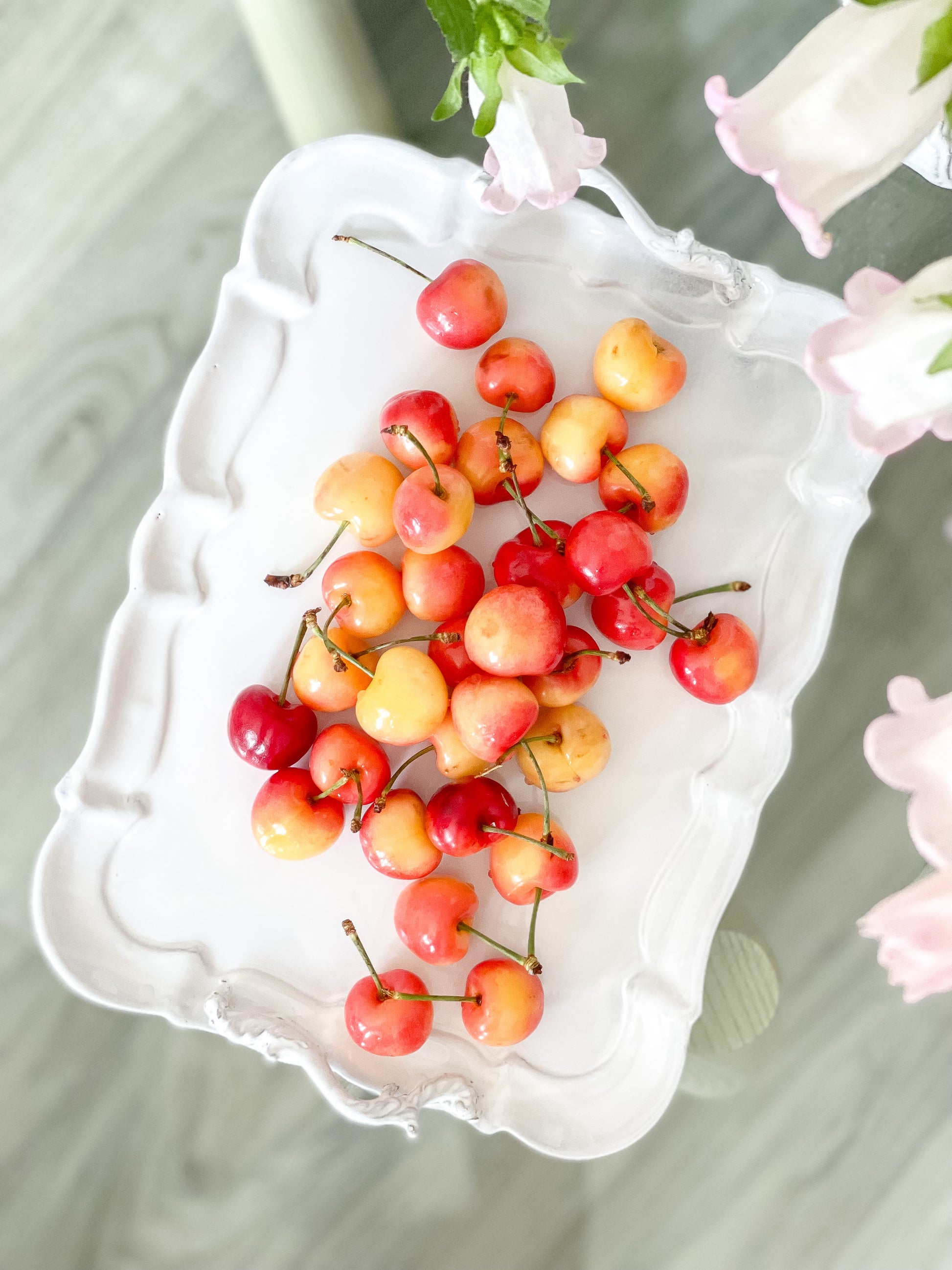 [Archive] Apolline Platter