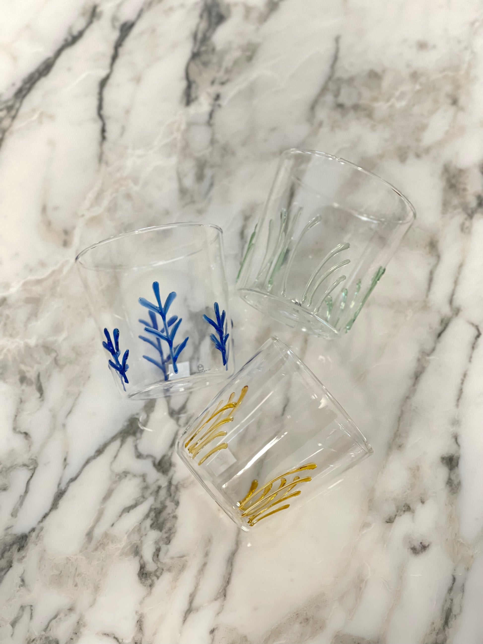 [Archive] Plants Tumbler (Set of 3)
