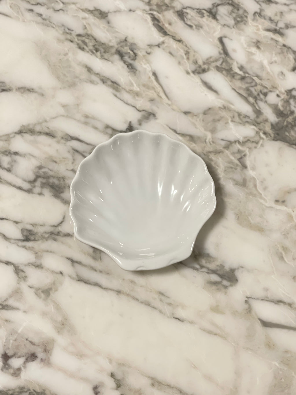 [Archive] Shell Plate (Set of 2)