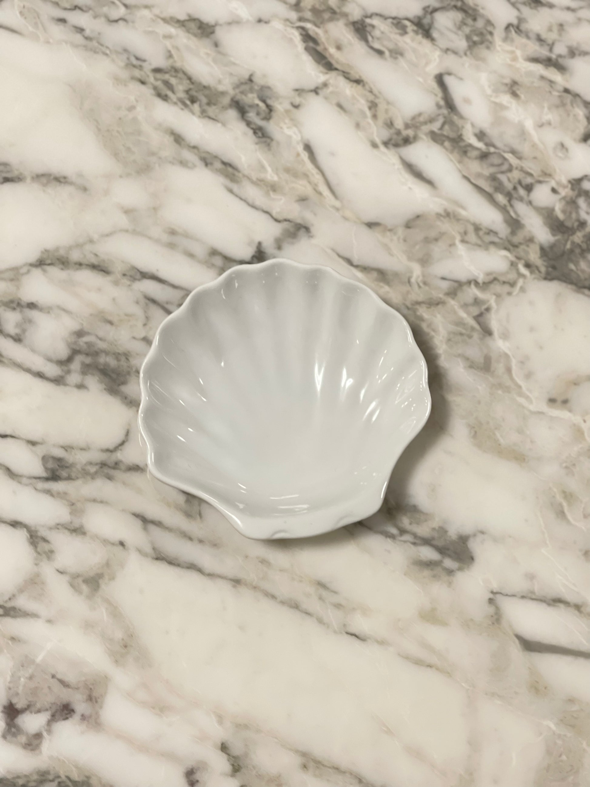 [Archive] Shell Plate (Set of 2)