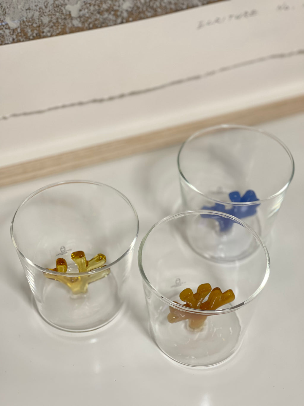 [Archive] Gift Set: Marine Life Tumbler (Set of 3)