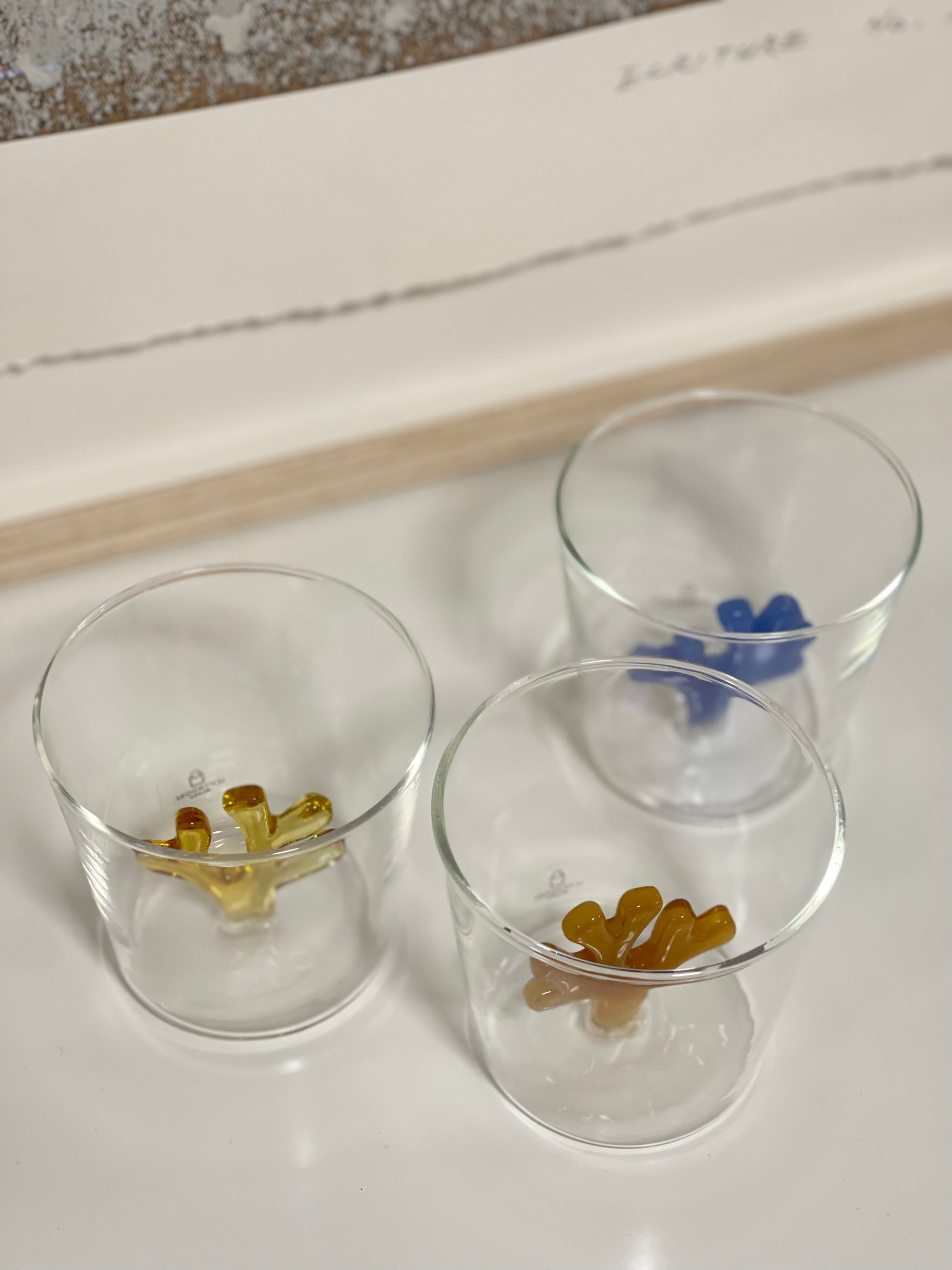 [Archive] Gift Set: Marine Life Tumbler (Set of 3)